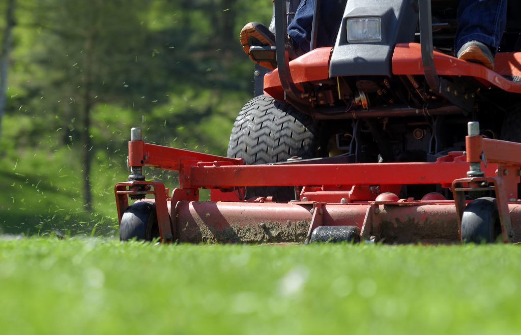 raceland Lawn Mowing Service